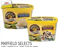 Mayfield Selects Ice Cream or Yogurt