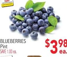 BLUEBERRIES