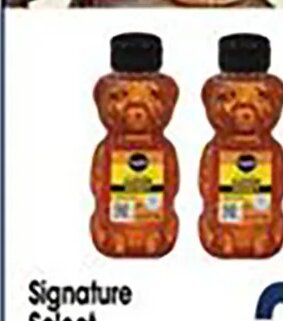 Signature Select Honey Bear