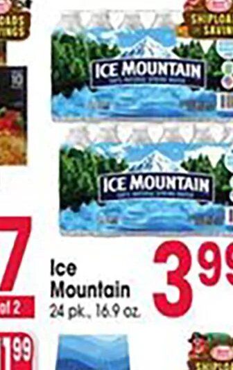 Ice Mountain