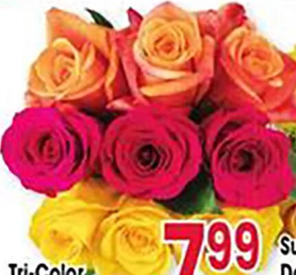 Tri-Color Rose Bunch