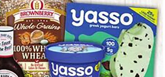 Yasso Yogurt Bars / Frozen Yogurt