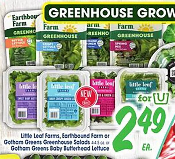 Little Leaf Farms, Earthbound Farm or Gotham Greens
