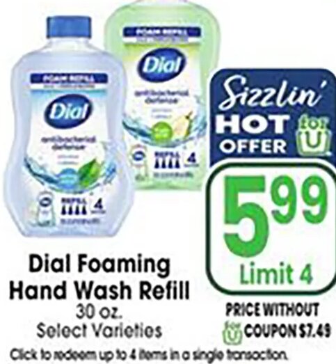 Dial Foaming Hand Wash Refill