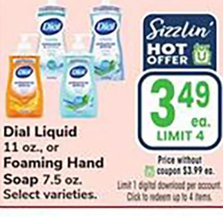 Dial Liquid Foaming Hand Soap