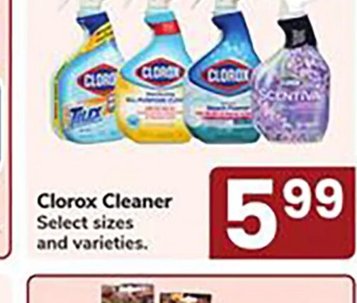 Clorox Cleaner