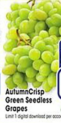 AutumnCrisp Green Seedless Grapes