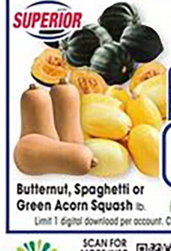 Butternut, Spaghetti or Green Acorn Squash