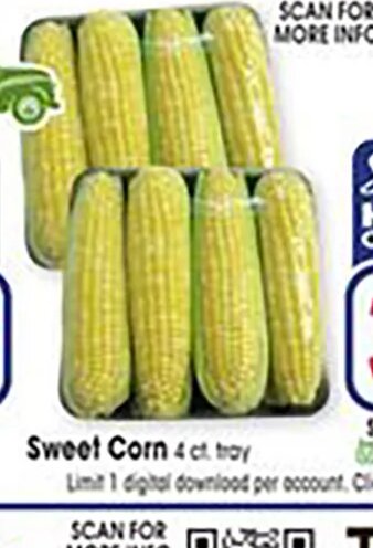 Sweet Corn