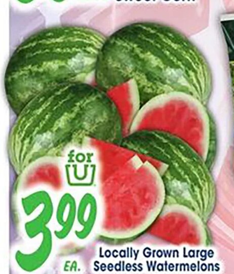 Locally Grown Large Seedless Watermelons
