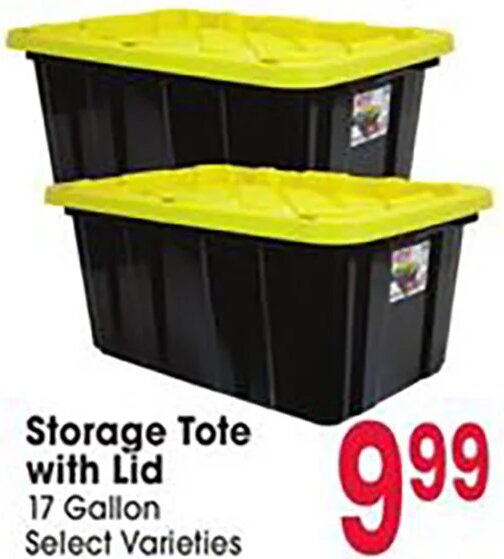 Storage Tote with Lid
