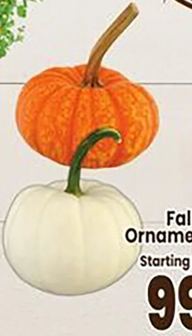 Fall Ornamentals