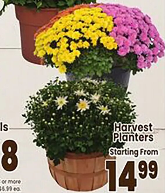 Harvest Planters
