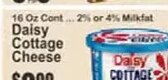 Daisy Cottage Cheese
