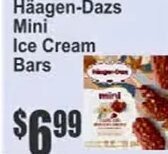 Häagen-Dazs Mini Ice Cream Bars