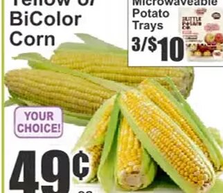 Yellow or BiColor Corn at Key Food