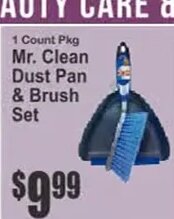 Mr. Clean Dust Pan & Brush Set