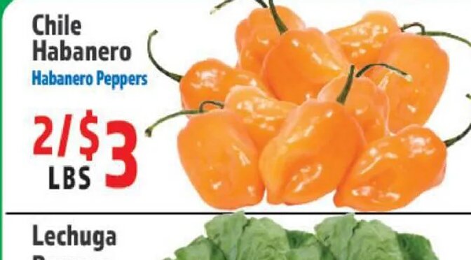 Chile Habanero