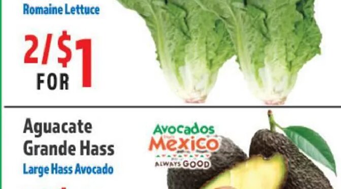 Lechuga Romana