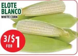 ELOTE BLANCO