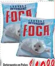 Foca at La Bonita