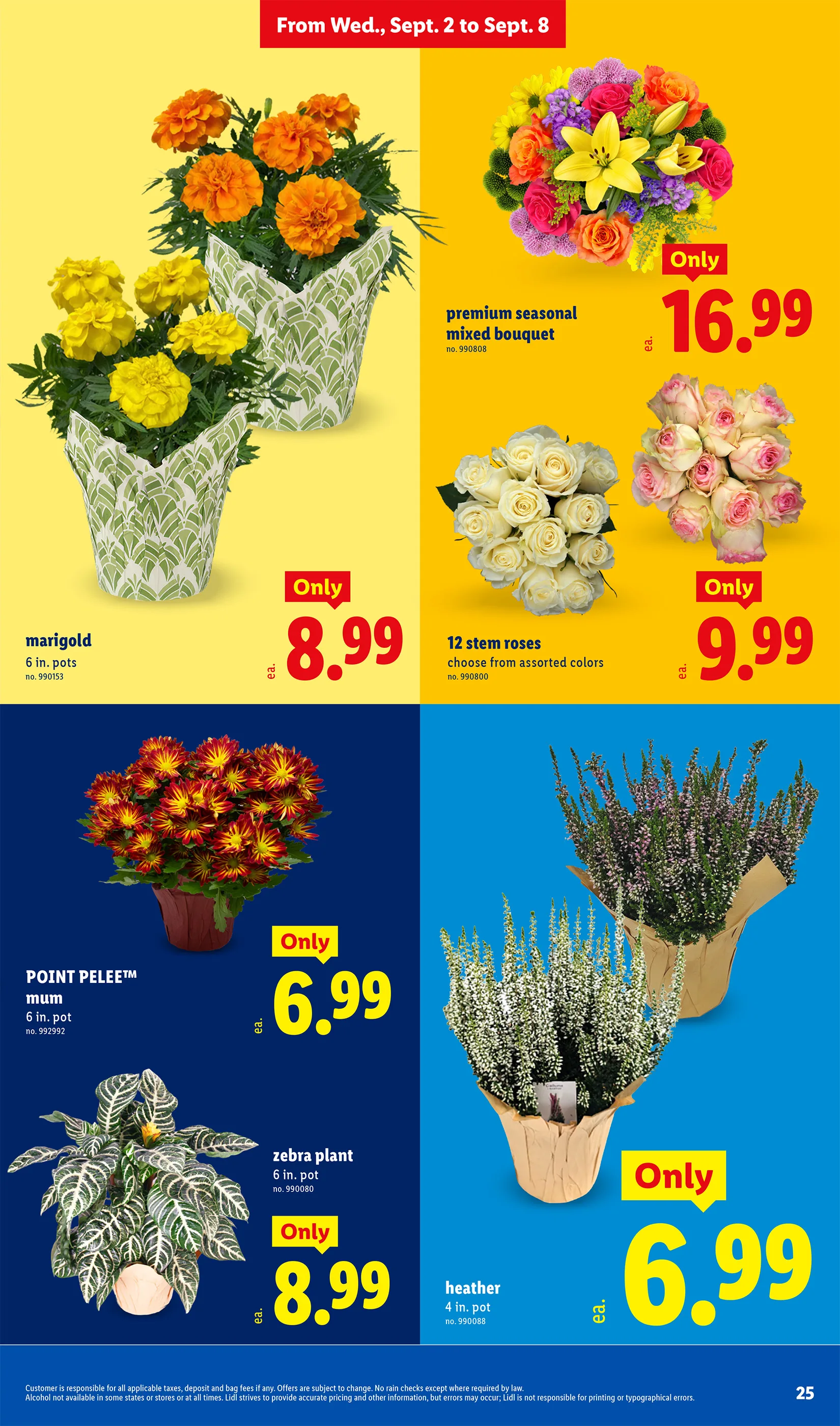 Lidl Weekly Ad Page 25
