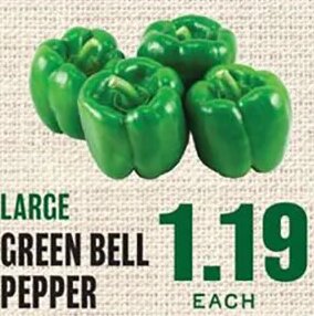 LARGE GREEN BELL PEPPER