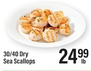 30/40 Dry Sea Scallops