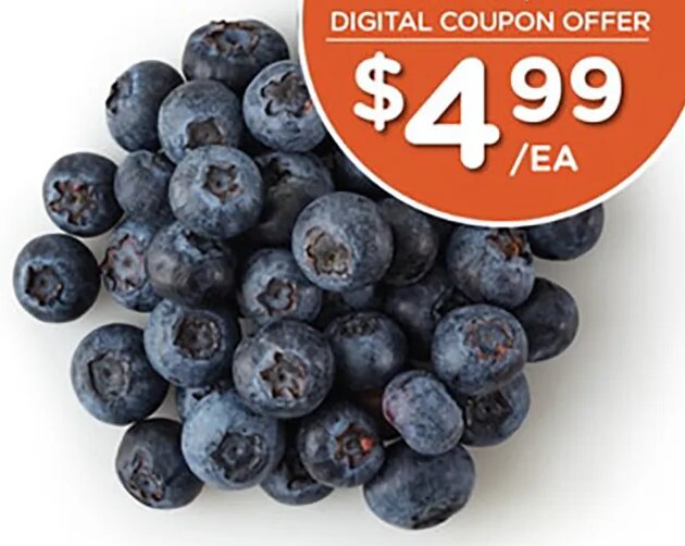 Jumbo Blueberries