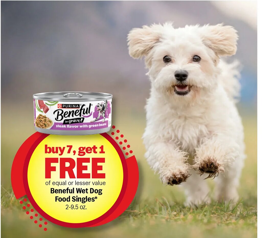 Beneful Wet Dog Food Singles