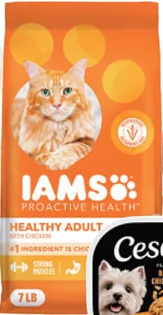 IAMS Proactive Health