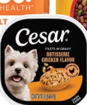 Cesar