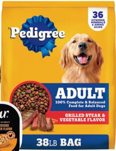 Pedigree Adult