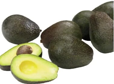 Extra Large Avocados