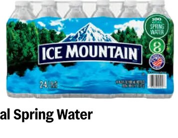 Ice Mountain Natural Spring Water at Meijer