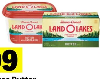 Land O'Lakes Butter at Meijer