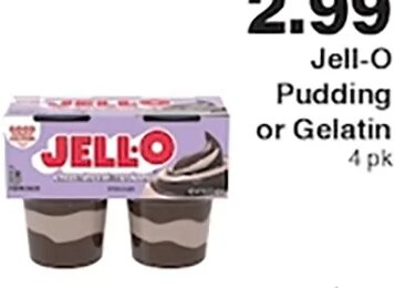 Jell-O Pudding or Gelatin