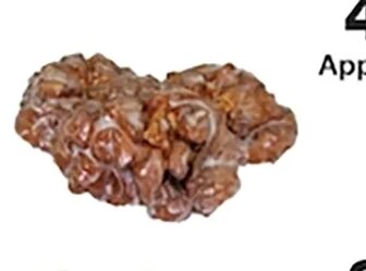 Apple Fritter