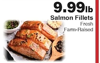 Salmon Fillets