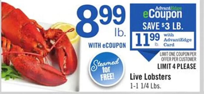 Live Lobsters