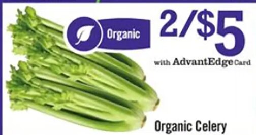 Organic Celery