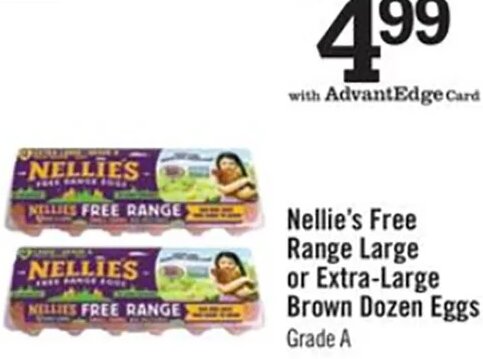 Nellie's Free Range Large or Extra-Large Brown Dozen Eggs at Price Chopper