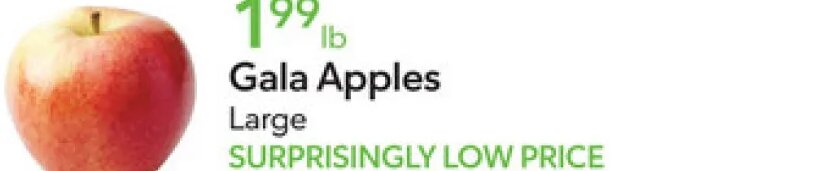 Gala Apples at Publix