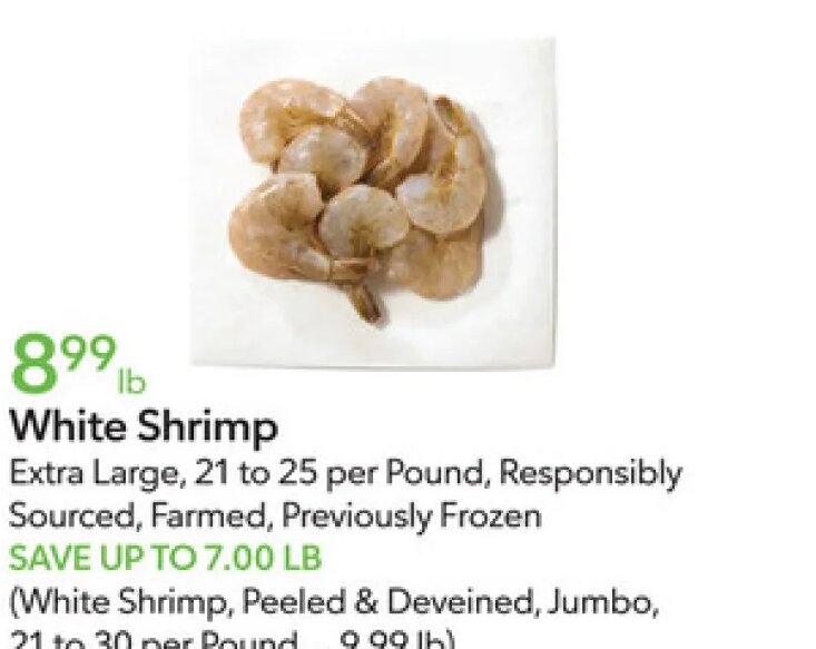 White Shrimp