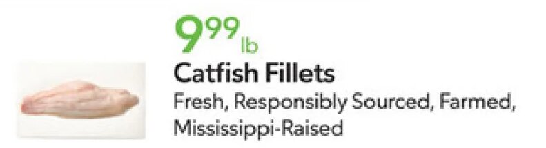 Catfish Fillets