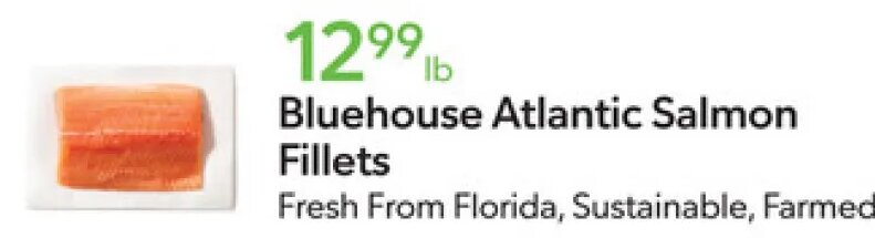 Bluehouse Atlantic Salmon Fillets at Publix