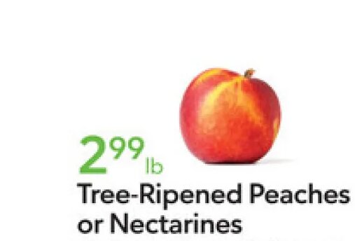 Tree-Ripened Peaches or Nectarines