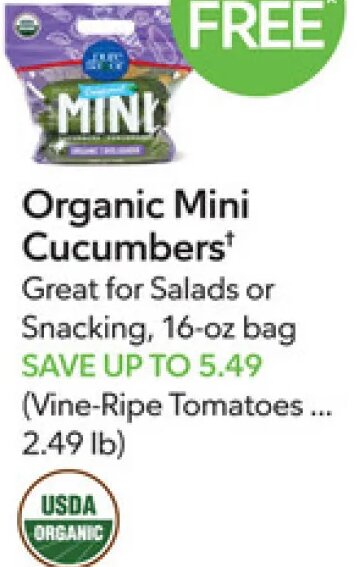 Organic Mini Cucumbers
