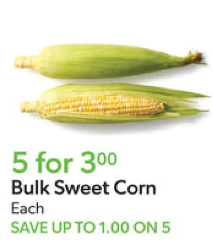 Bulk Sweet Corn at Publix