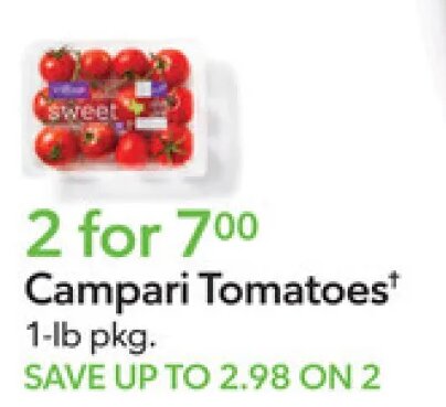 Campari Tomatoes at Publix